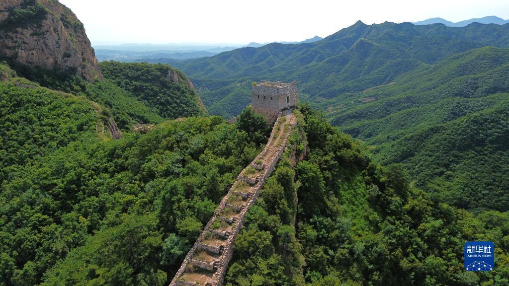 最新网投送彩金
